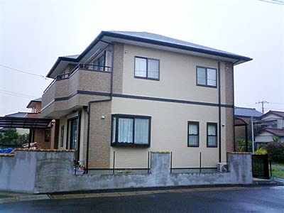 ���᡼�����Ը���ȬȨ��1-1��