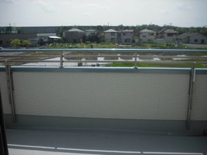 �x�����_�H��