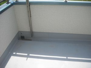 �x�����_�H��